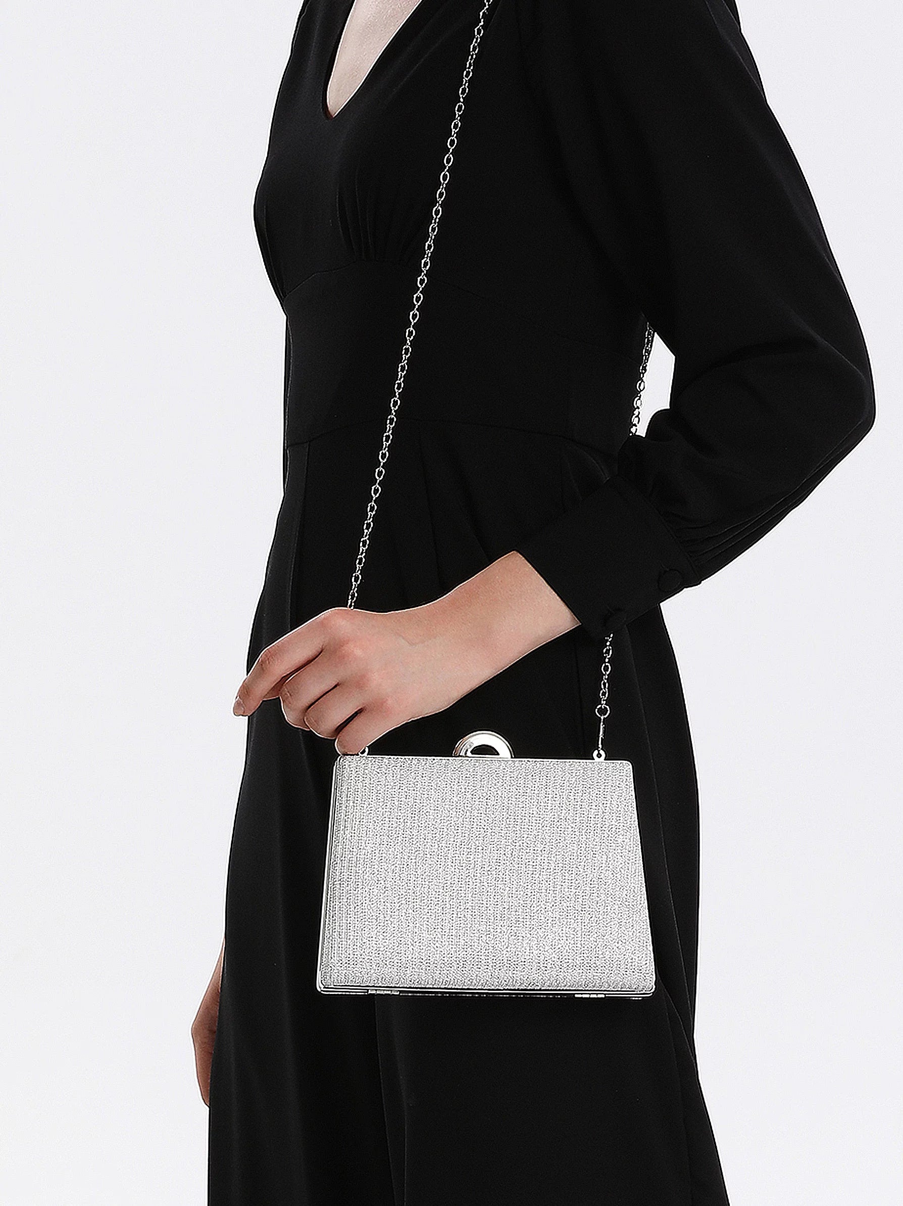 Silver 2025 sparkly bag